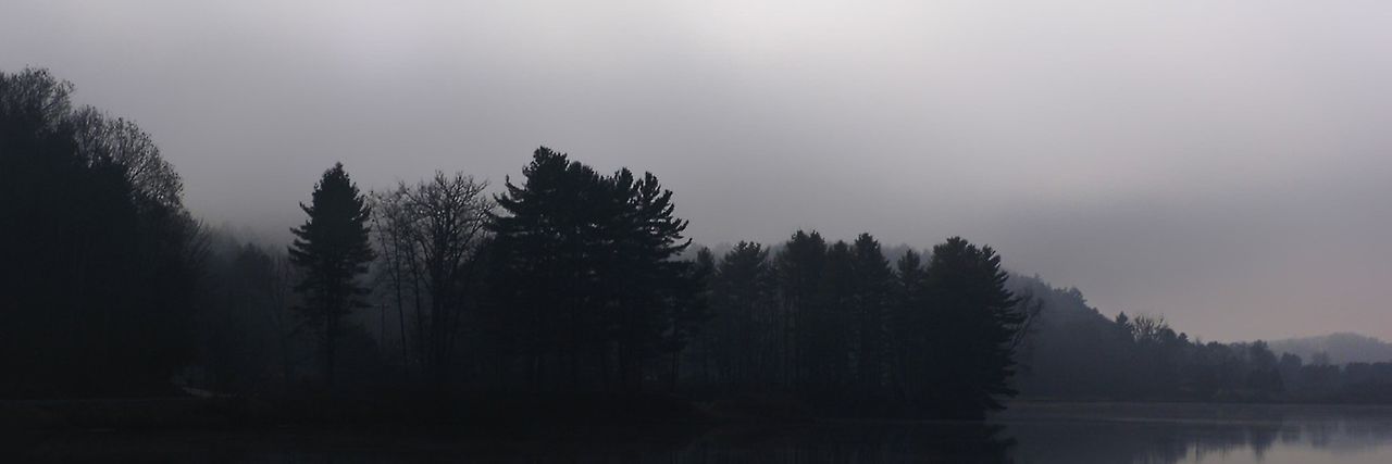 Ghost In The Machine banner