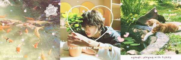 yeppicats Profile Banner