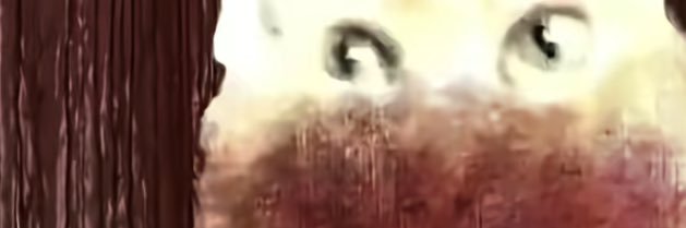 ( banner