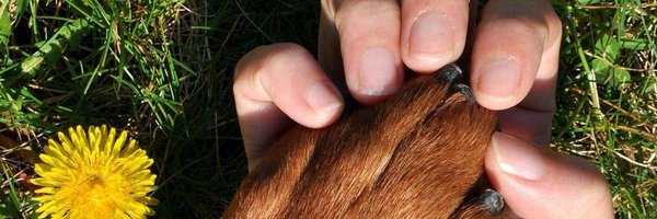 lbeatrizaguiar Profile Banner