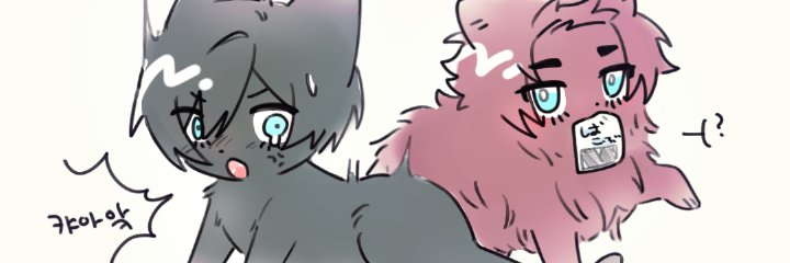 포찌 banner