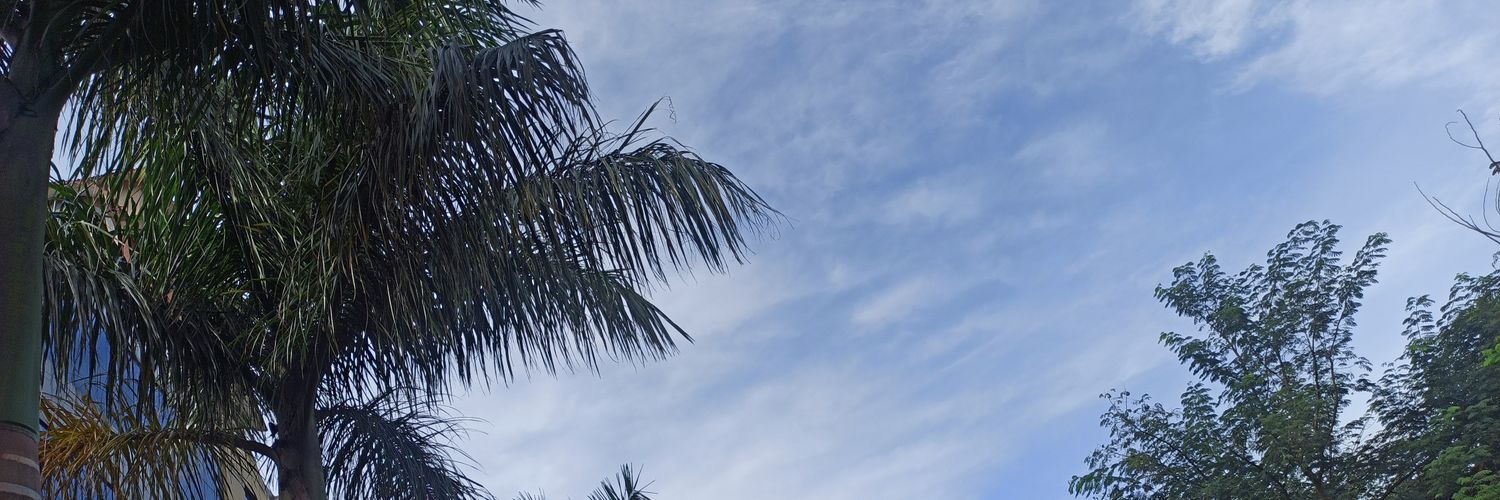 Sheikhkwsar786's profile banner image
