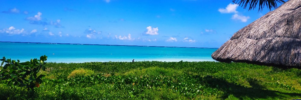 Ton_Affonso's profile banner image