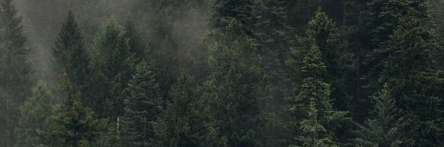 kolnide's profile banner image