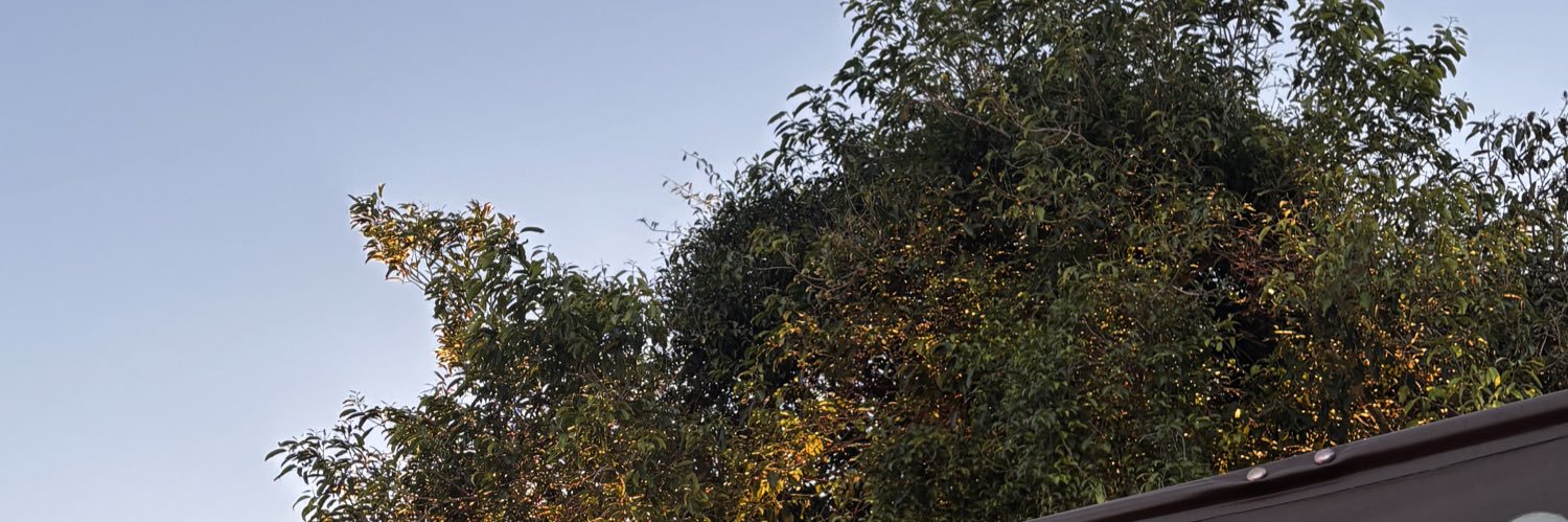 meolveira_'s profile banner image