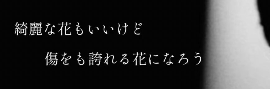 tomoki╰(*´︶`*)╯♡ banner