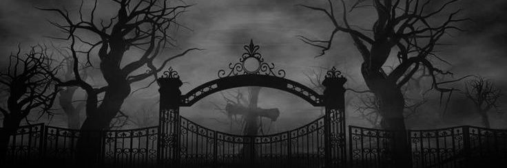 MikeGothKVD's profile banner image