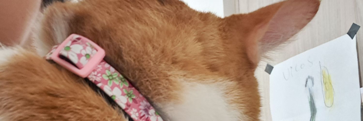 helenstern's profile banner image