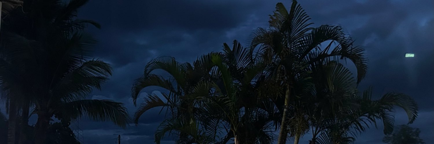 dsetedax's profile banner image