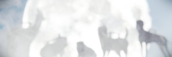 stanthecup Profile Banner