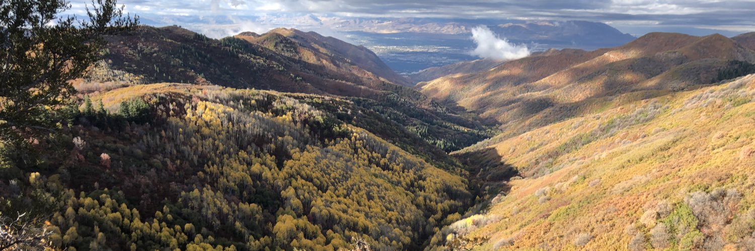 Aaron 🪔🌾 banner