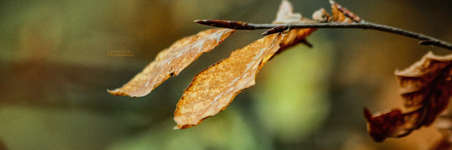 irmuznn's profile banner image