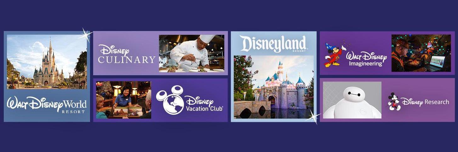 disneytdw's profile banner image
