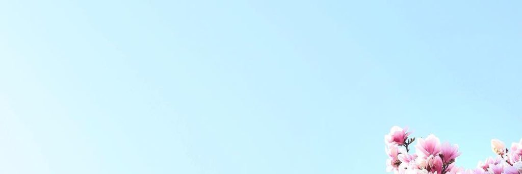 mollycchester's profile banner image