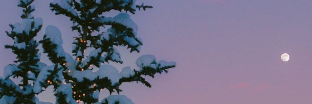 Pulsing_Crown's profile banner image
