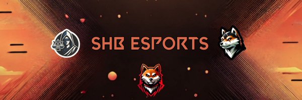 ShibasEsports Profile Banner
