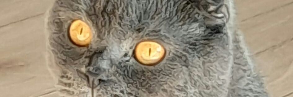mykeddym's profile banner image