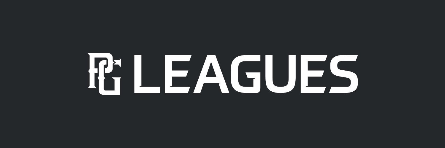 Perfect Game Leagues banner