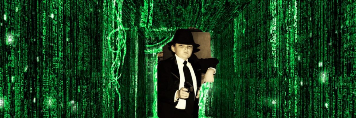 Back From The Dead MMA banner