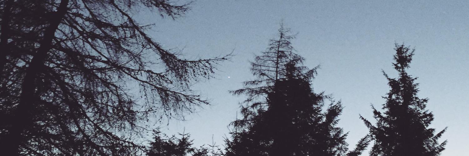 Rona Dalgleish banner