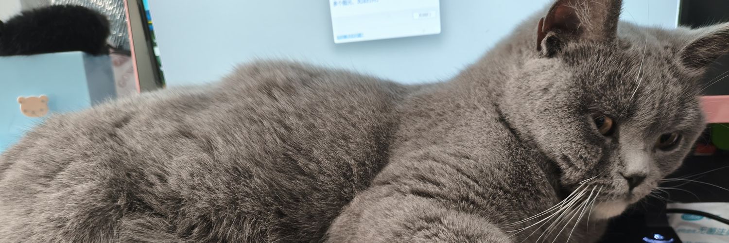 小竹子一掰就断🏳️‍⚧️ banner