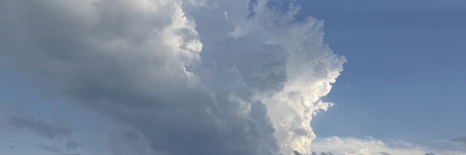 literallyshark's profile banner image