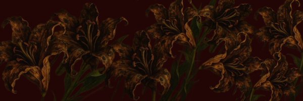 advilrio Profile Banner
