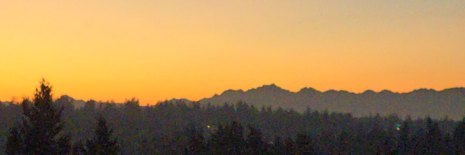 Abigail Juliana banner