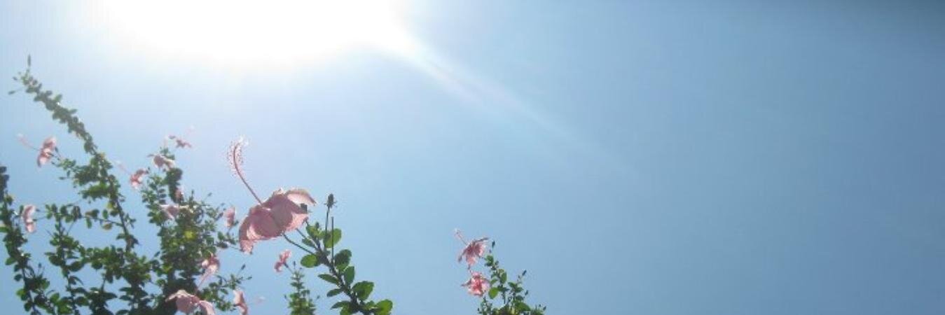 sanasanz's profile banner image