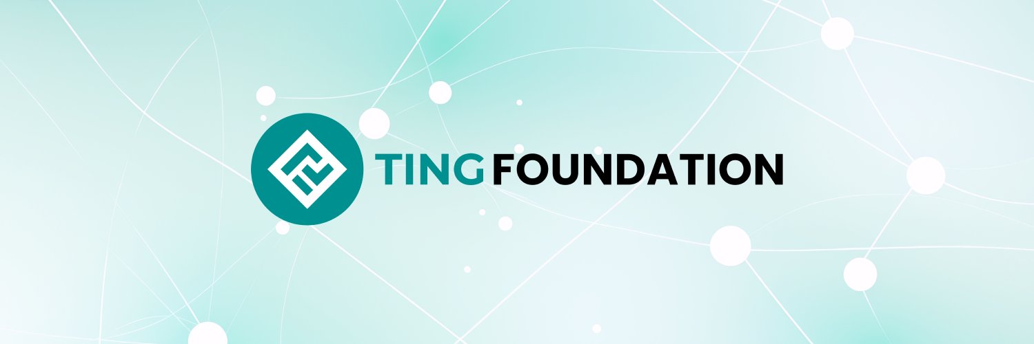 Ting Foundation banner