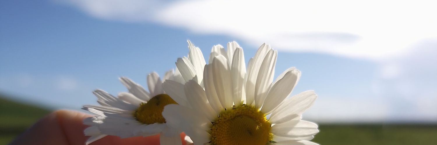 SelTds58960's profile banner image