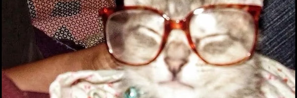 Evvvva2guyi's profile banner image