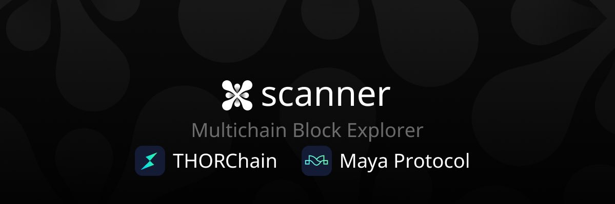 Xscanner's banner