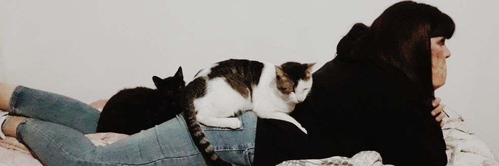 _milisp's profile banner image