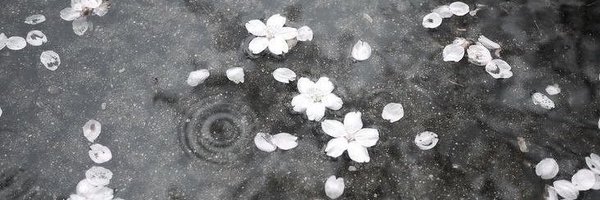 aliensync Profile Banner