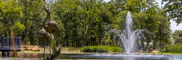 flower_mound Profile Banner