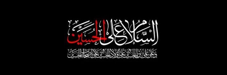 کونین نقوی banner