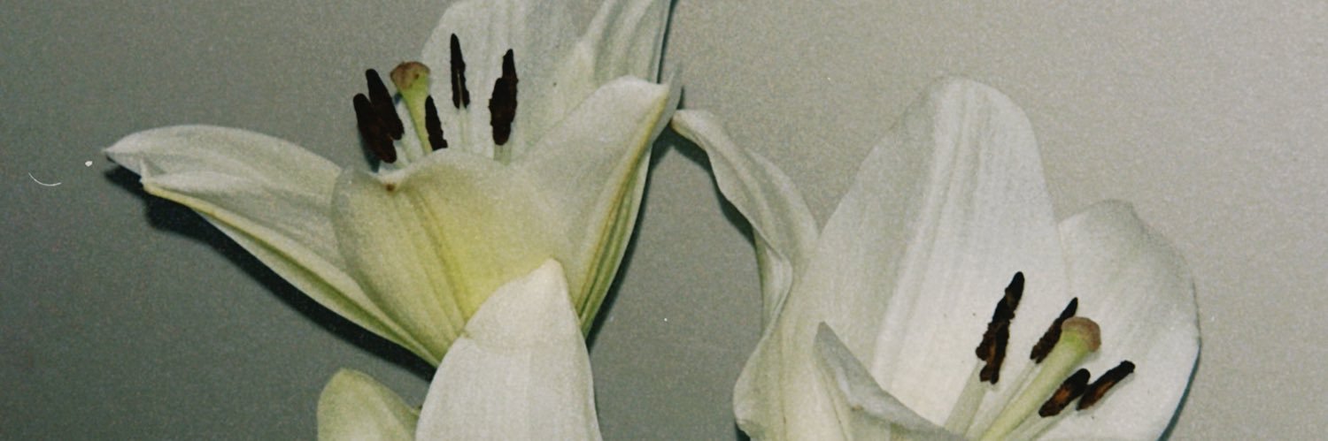 mcelask's profile banner image