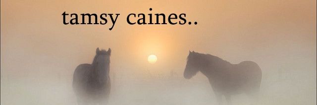 ༻𝑋𝑖𝑥𝑖☾༺ banner