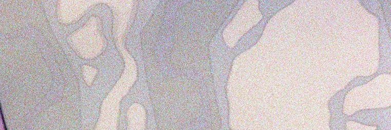 sal banner