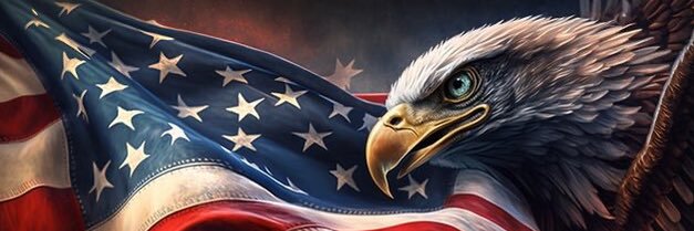 Fake_News_Man's profile banner image