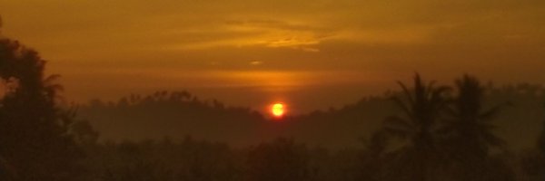 riyuzilpg Profile Banner