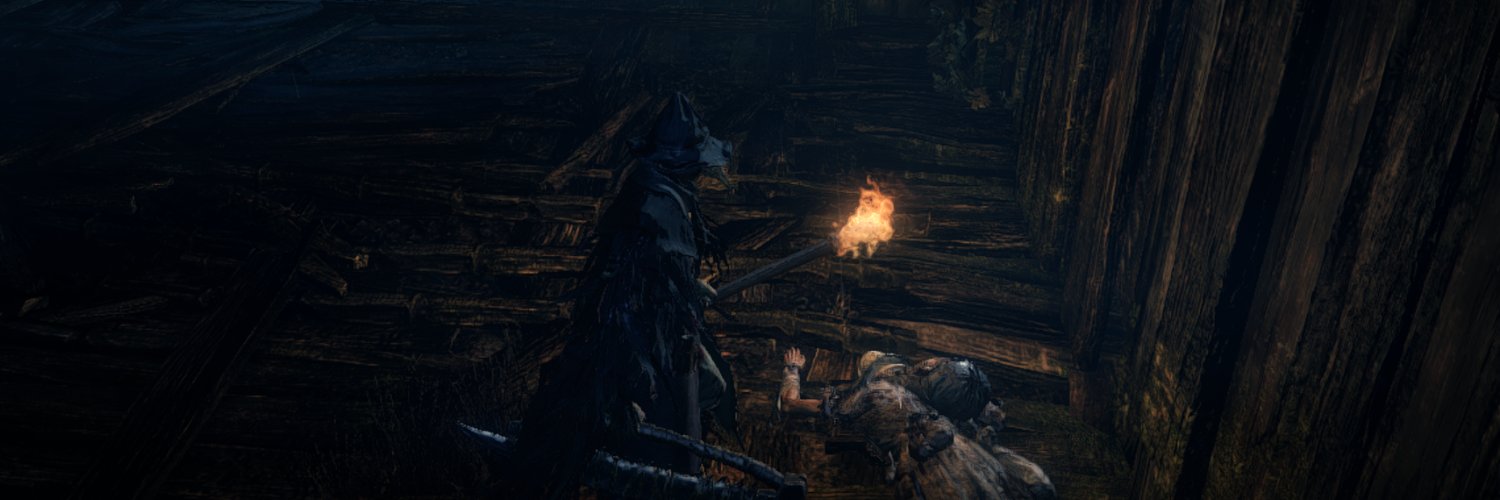 NemFry's banner