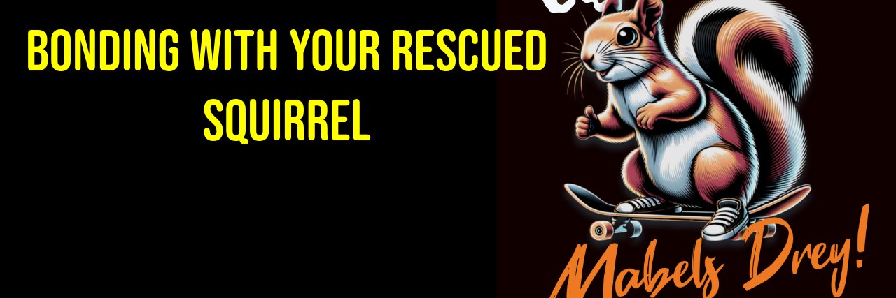 MABEL THE SQUIRREL banner