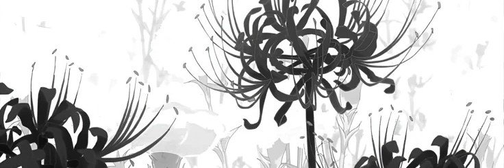 seruuuug's profile banner image