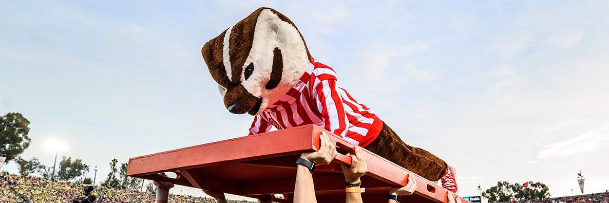 Bucky banner