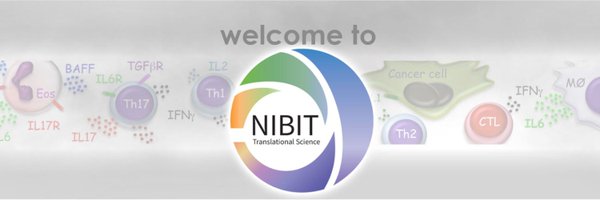 NibitNetwork Profile Banner