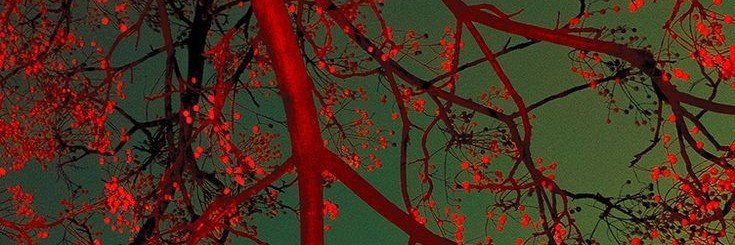 olzkikot's profile banner image