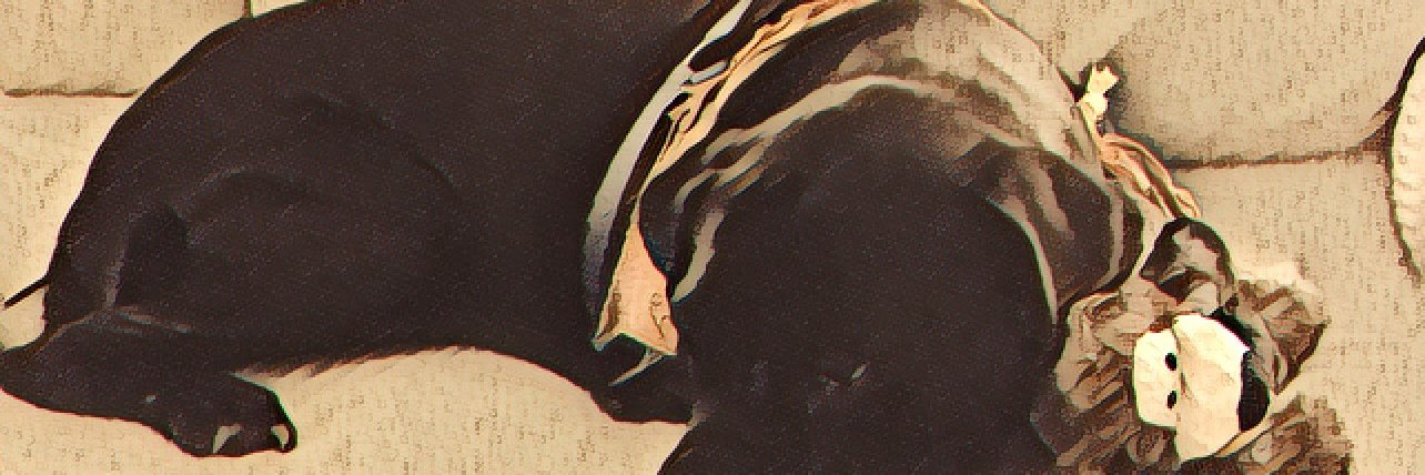 emmettgh banner
