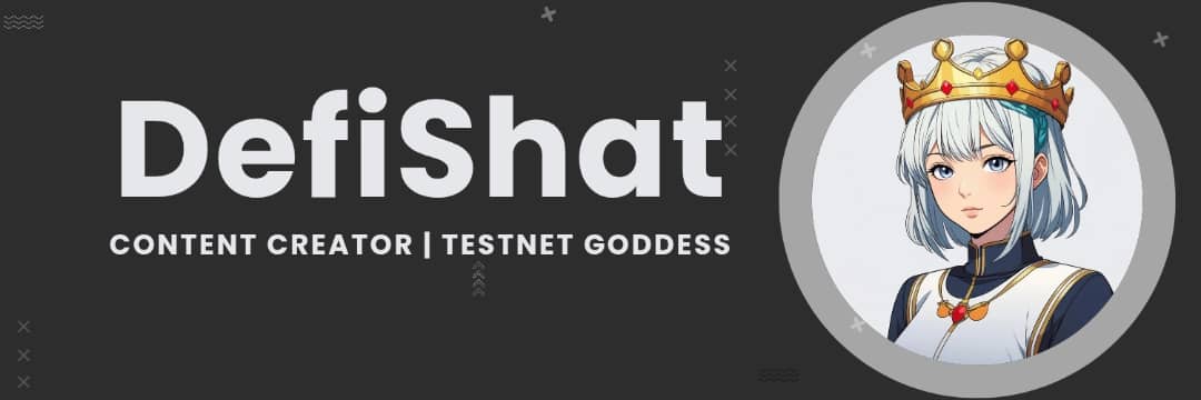 DefiShat's profile banner image